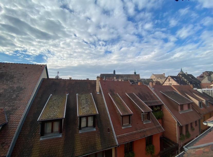 L'Ours De Colmar - Appartements En Centre Ville Exterior foto