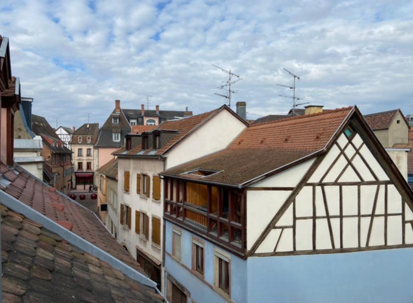 L'Ours De Colmar - Appartements En Centre Ville Exterior foto