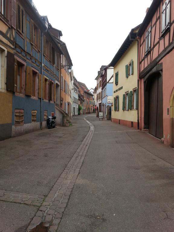 L'Ours De Colmar - Appartements En Centre Ville Exterior foto